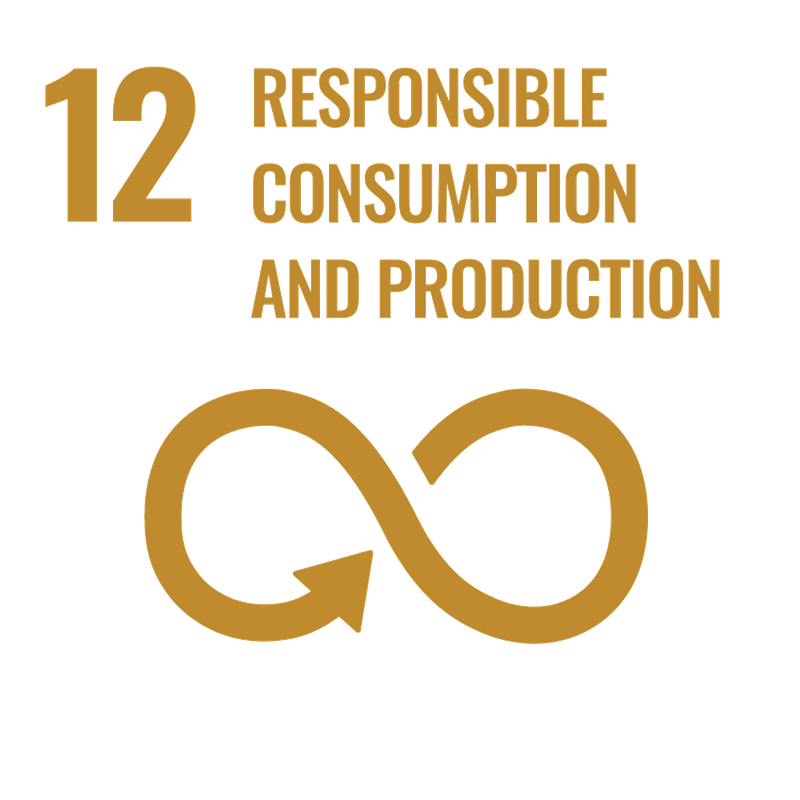 SDG 12: Tiêu thụ và sản xuất có trách nhiệm